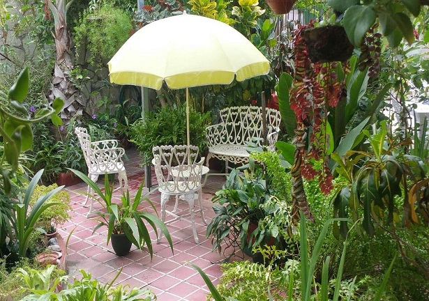 'Backyard' Casas particulares are an alternative to hotels in Cuba.